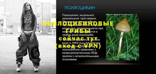 мдпв Лабытнанги